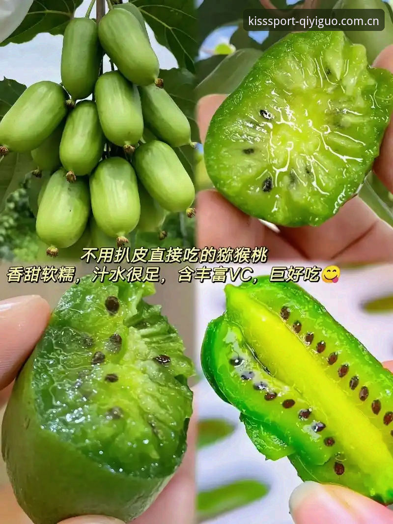 奇异果体育好用吗 奇异果体育使用指南:功能评测与下载安装完整教程